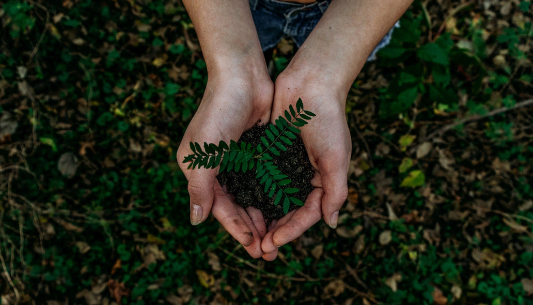 Ecofriendly Incontinence Solutions - Vommat