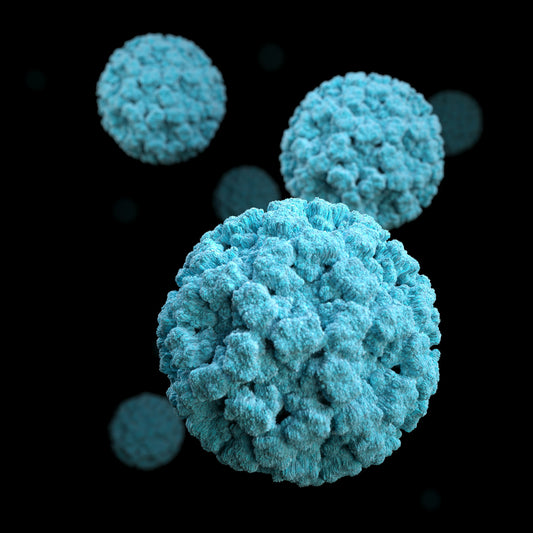 What Kills Norovirus?